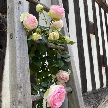 Pensionat Le Douet Fleury - D'hotes Et 3*