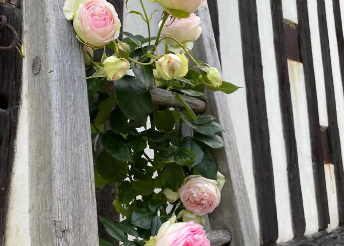 بيت ضيافة Le Douet Fleury - D'hotes Et 3*